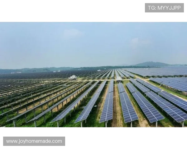 关于j9集团的全面介绍与发展历程解析，助你深入了解行业领军企业的崛起